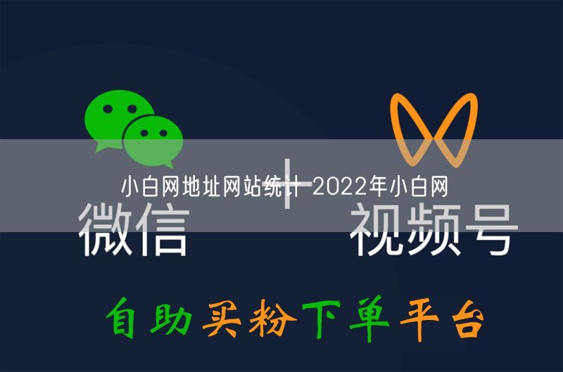 小白网地址网站统计 2022年小白网