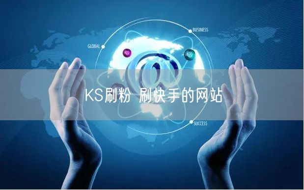 KS刷粉 刷快手的网站
