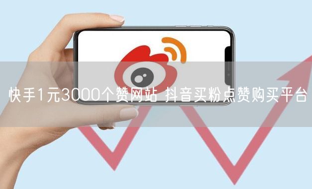 快手1元3000个赞网站 抖音买粉点赞购买平台