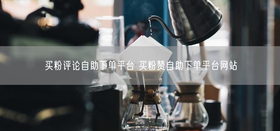买粉评论自助下单平台 买粉赞自助下单平台网站