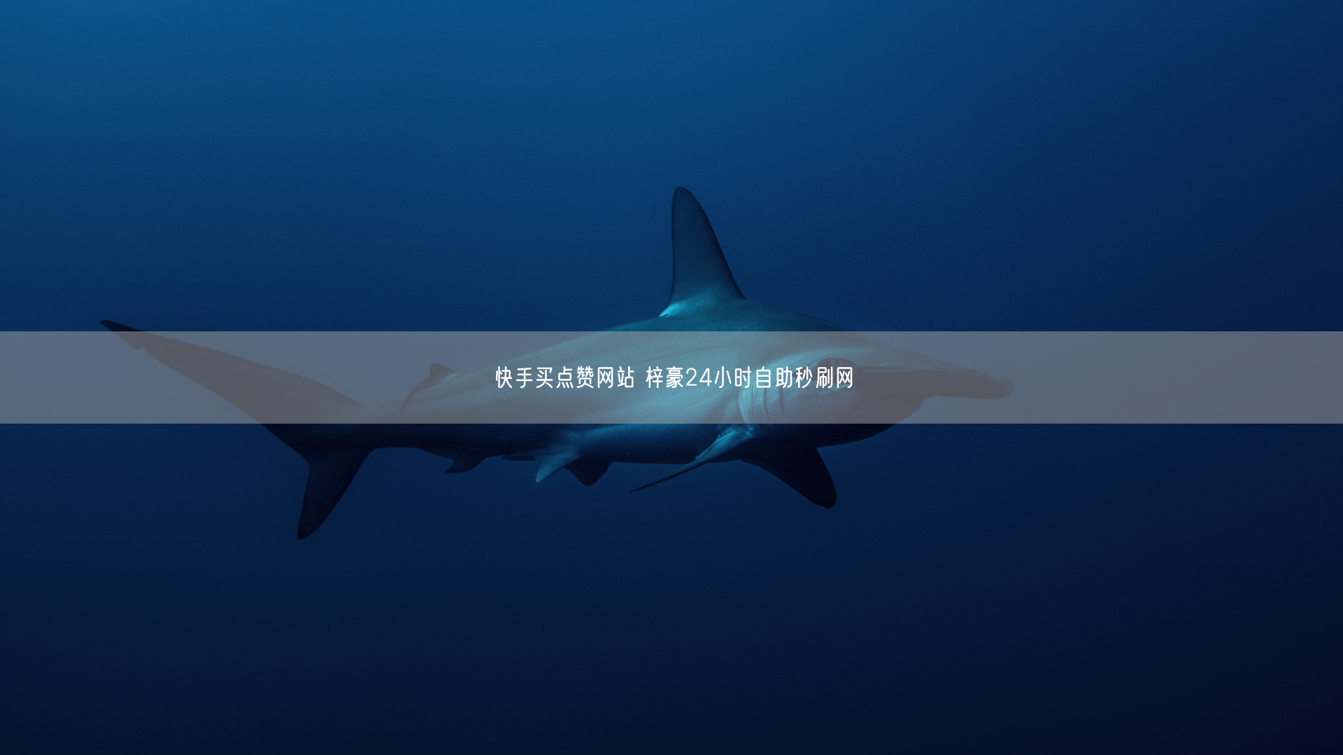 快手买点赞网站 梓豪24小时自助秒刷网