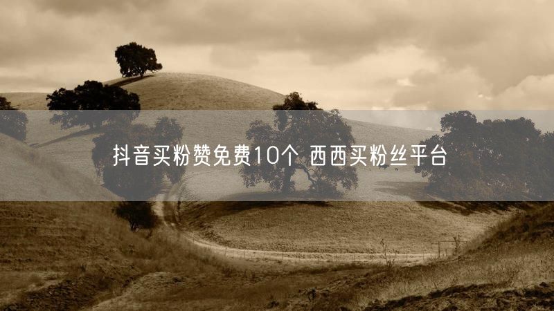 抖音买粉赞免费10个 西西买粉丝平台