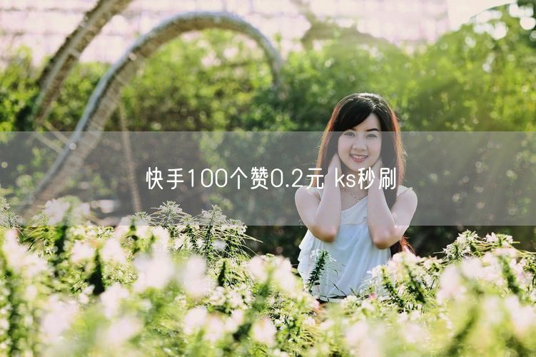 快手100个赞0.2元 ks秒刷