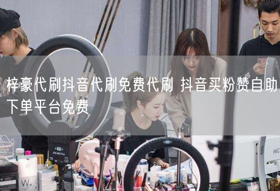 梓豪代刷抖音代刷免费代刷 抖音买粉赞自助下单平台免费