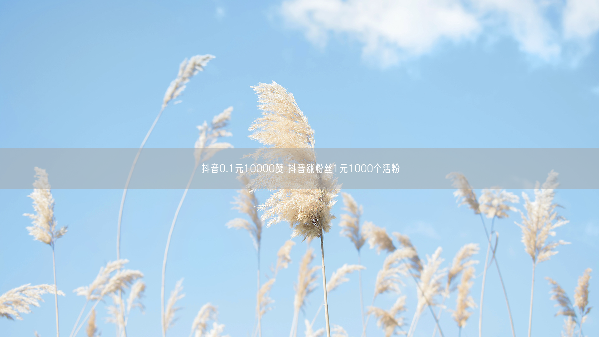 抖音0.1元10000赞 抖音涨粉丝1元1000个活粉
