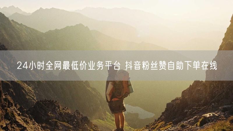 24小时全网最低价业务平台 抖音粉丝赞自助下单在线
