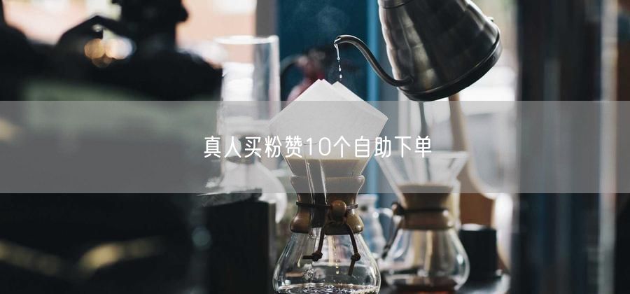真人买粉赞10个自助下单