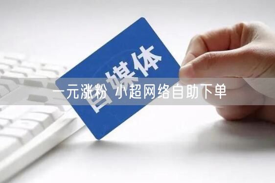 一元涨粉 小超网络自助下单
