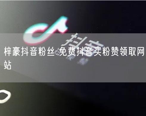 梓豪抖音粉丝 免费抖音买粉赞领取网站