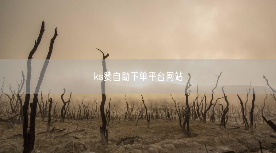 ks赞自助下单平台网站