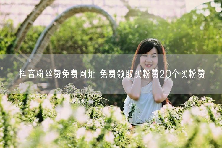 抖音粉丝赞免费网址 免费领取买粉赞20个买粉赞