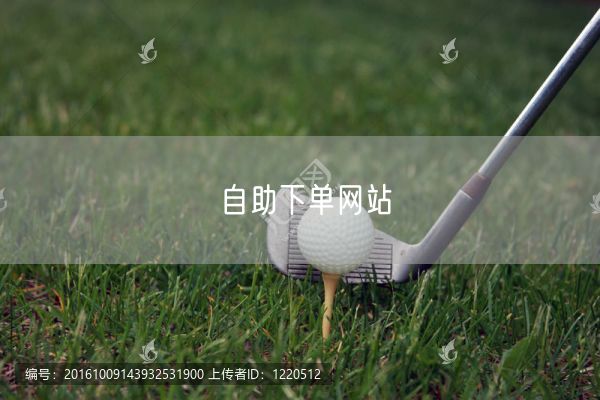 自助下单网站