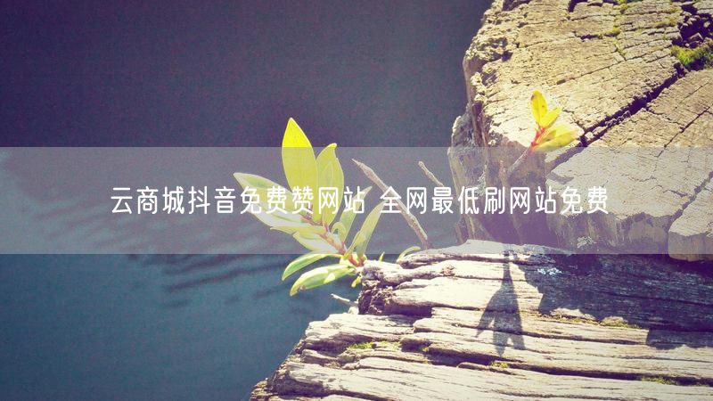 云商城抖音免费赞网站 全网最低刷网站免费