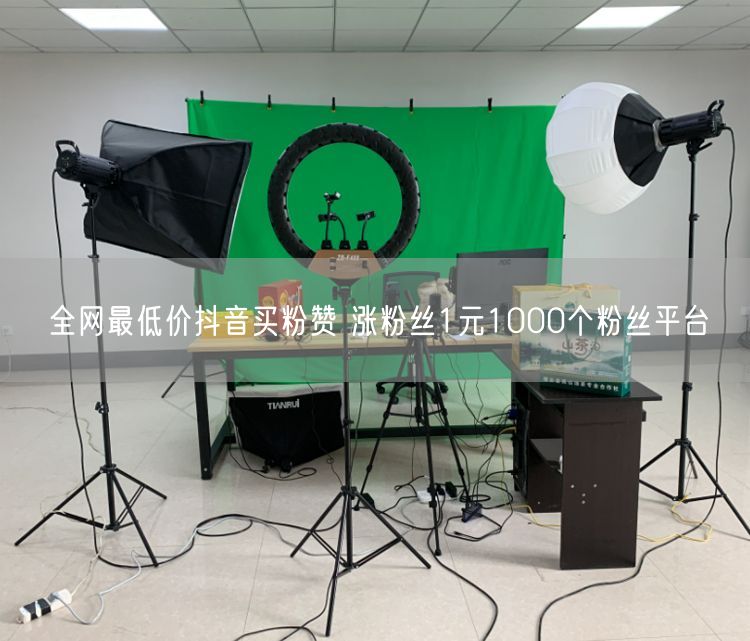 全网最低价抖音买粉赞 涨粉丝1元1000个粉丝平台