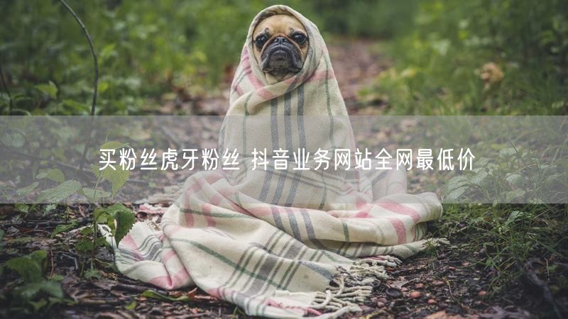 买粉丝虎牙粉丝 抖音业务网站全网最低价