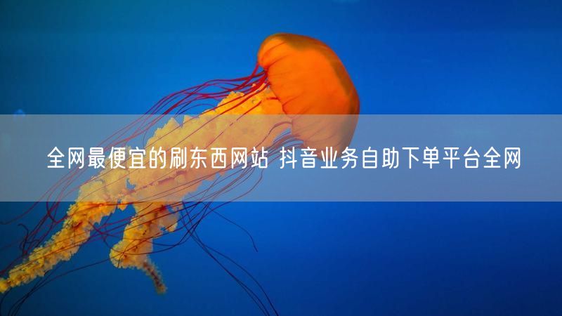 全网最便宜的刷东西网站 抖音业务自助下单平台全网
