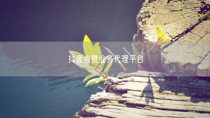 抖音点赞业务代理平台