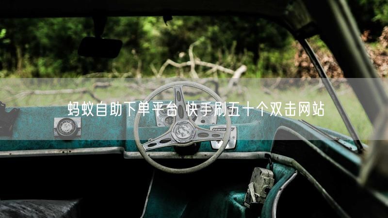 蚂蚁自助下单平台 快手刷五十个双击网站