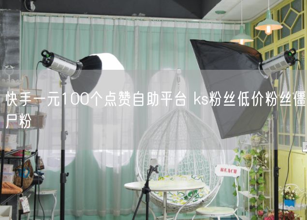 快手一元100个点赞自助平台 ks粉丝低价粉丝僵尸粉