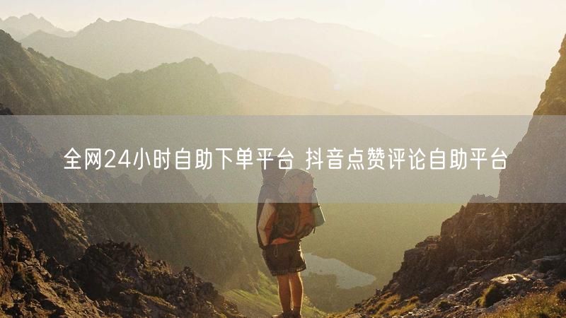 全网24小时自助下单平台 抖音点赞评论自助平台