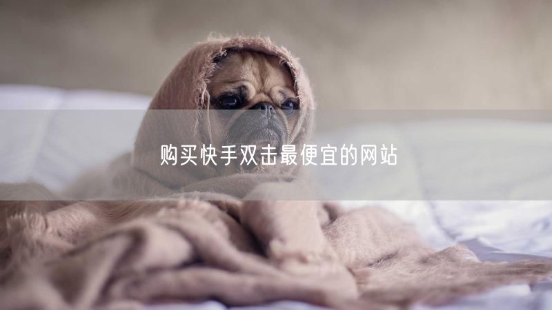 购买快手双击最便宜的网站