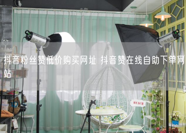 抖音粉丝赞低价购买网址 抖音赞在线自助下单网站