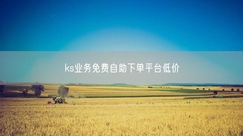 ks业务免费自助下单平台低价
