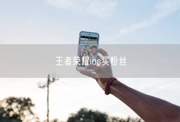 王者荣耀ios买粉丝