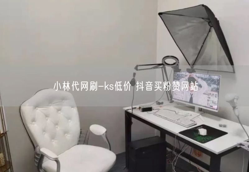 小林代网刷-ks低价 抖音买粉赞网站