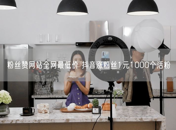粉丝赞网站全网最低价 抖音涨粉丝1元1000个活粉