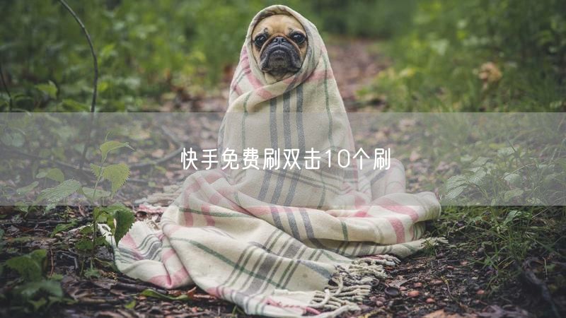 快手免费刷双击10个刷