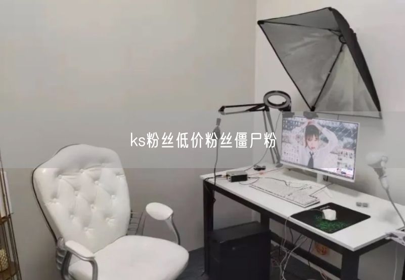 ks粉丝低价粉丝僵尸粉