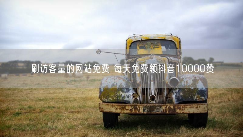 刷访客量的网站免费 每天免费领抖音10000赞
