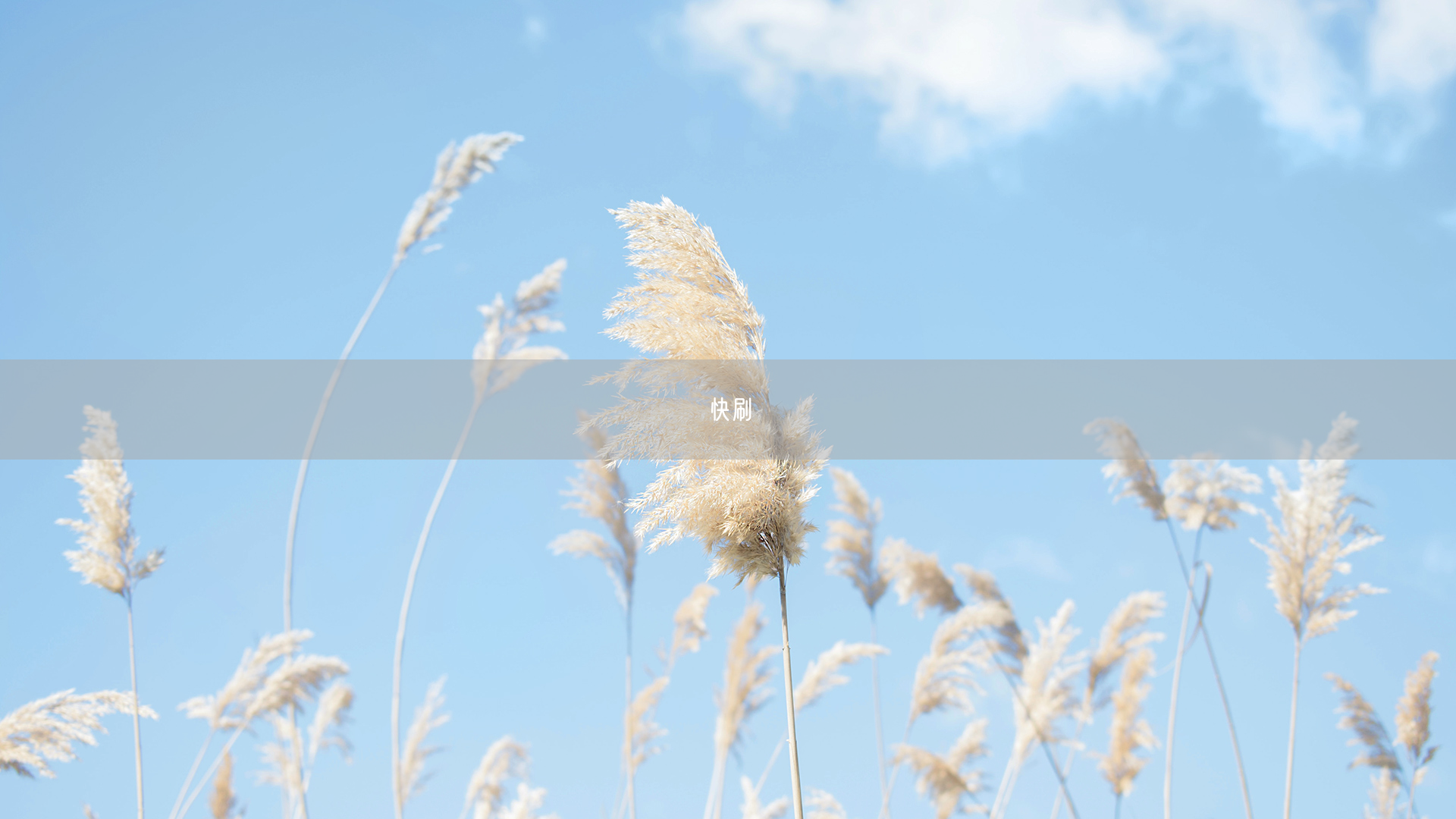 快刷