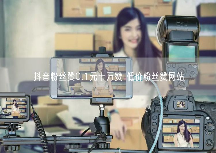 抖音粉丝赞0.1元十万赞 低价粉丝赞网站