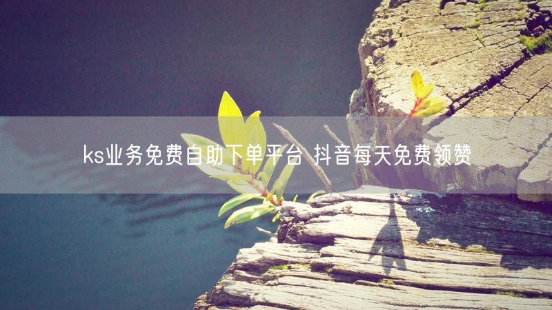 ks业务免费自助下单平台 抖音每天免费领赞