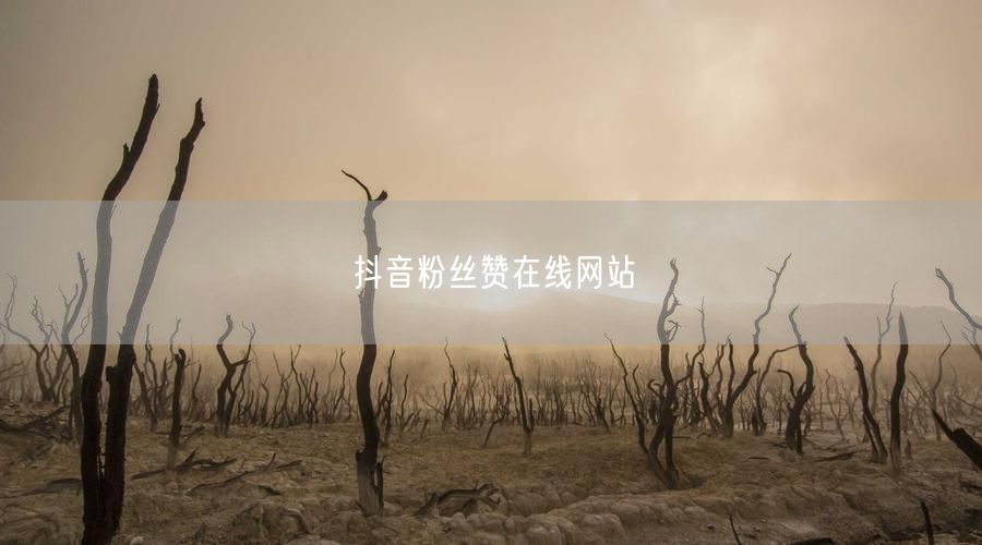 抖音粉丝赞在线网站