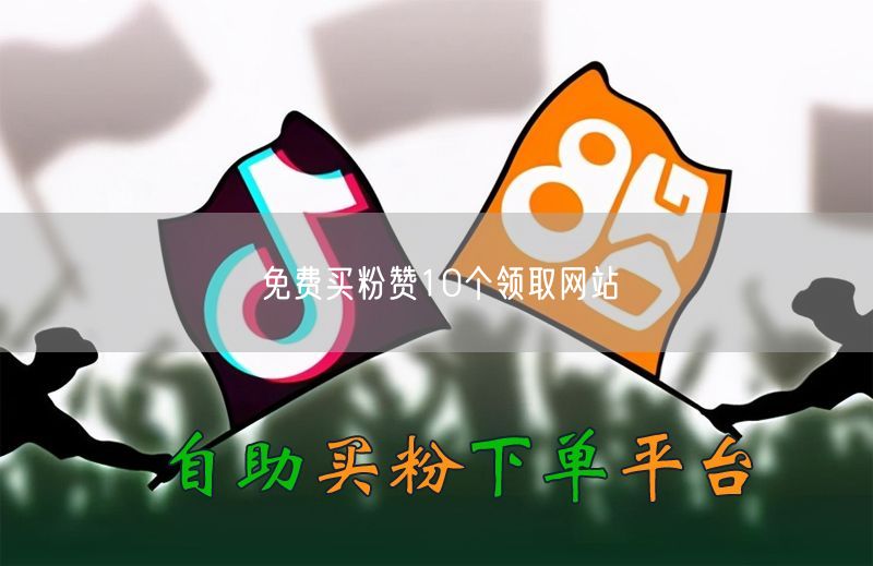 免费买粉赞10个领取网站