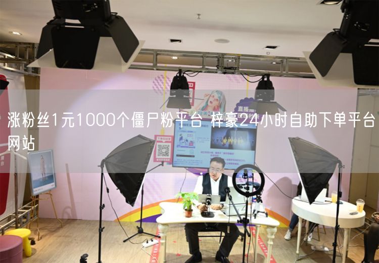 涨粉丝1元1000个僵尸粉平台 梓豪24小时自助下单平台网站