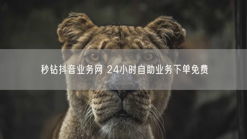 秒钻抖音业务网 24小时自助业务下单免费
