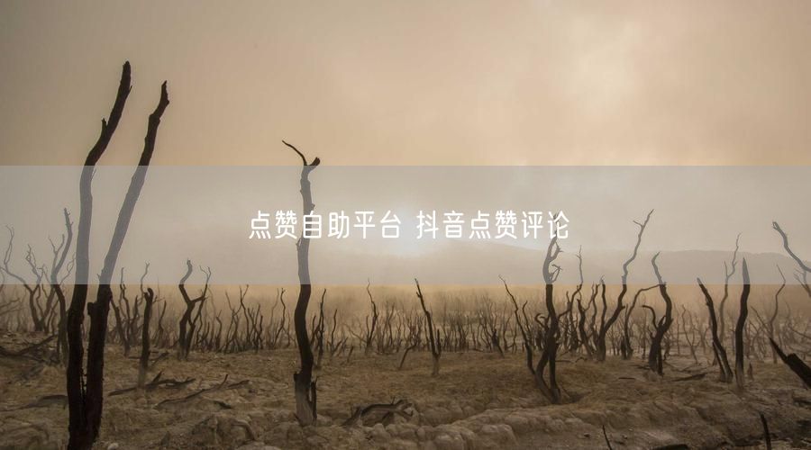 点赞自助平台 抖音点赞评论