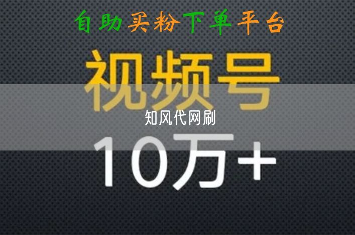 知风代网刷