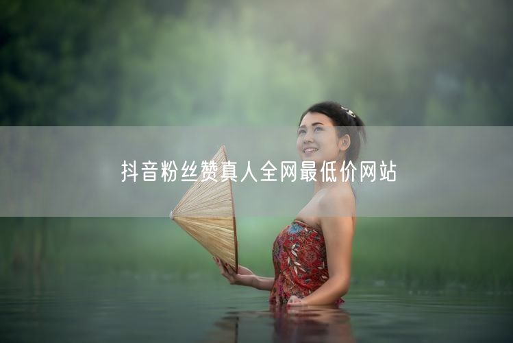 抖音粉丝赞真人全网最低价网站
