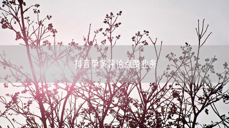 抖音单条评论点赞业务
