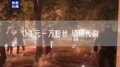 0.1元一万粉丝 硕硕代刷