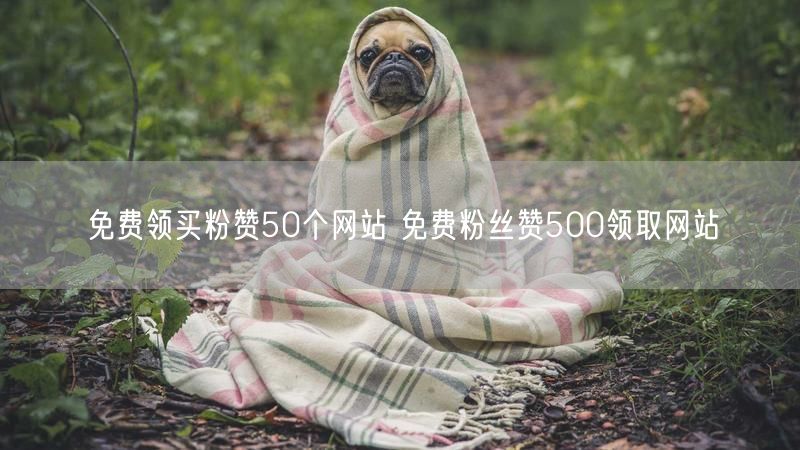免费领买粉赞50个网站 免费粉丝赞500领取网站