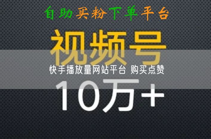 快手播放量网站平台 购买点赞
