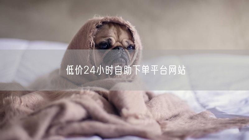 低价24小时自助下单平台网站
