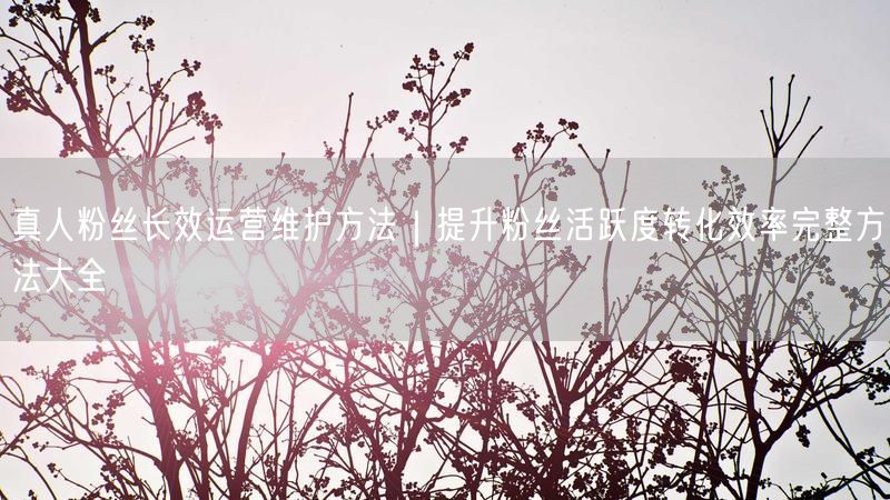 真人粉丝长效运营维护方法｜提升粉丝活跃度转化效率完整方法大全